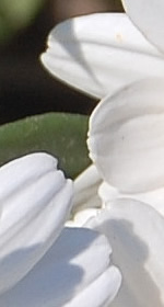Scripture_3561.jpg